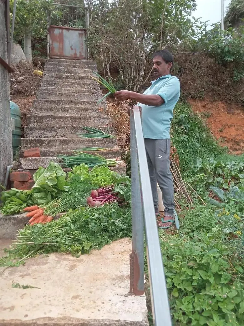 The Farm House Nuwaraeliya Nuwara Eliya