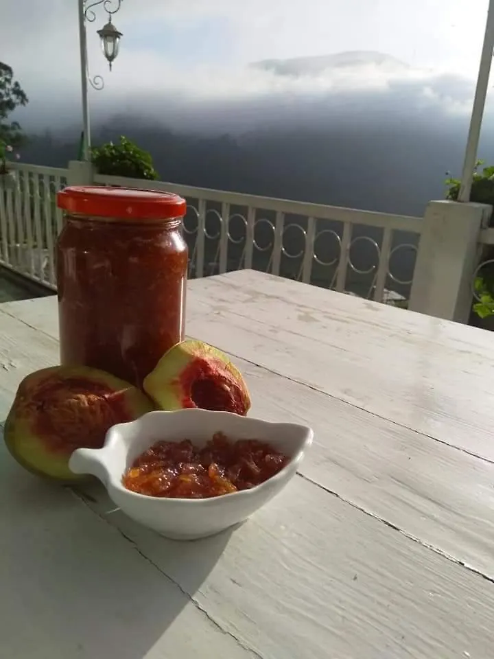 The Farm House Nuwaraeliya Nuwara Eliya Homestay