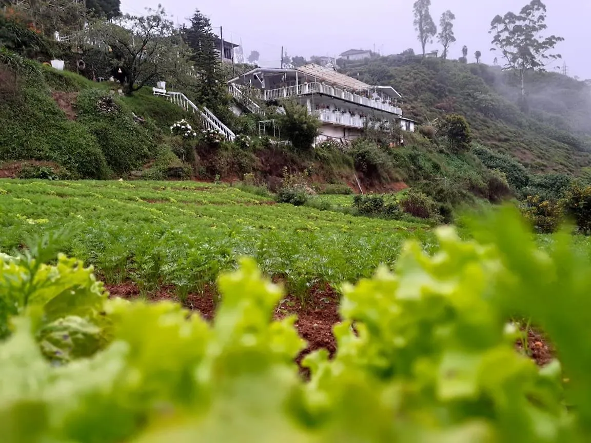 Homestay The Farm House Nuwaraeliya Nuwara Eliya Sri Lanka
